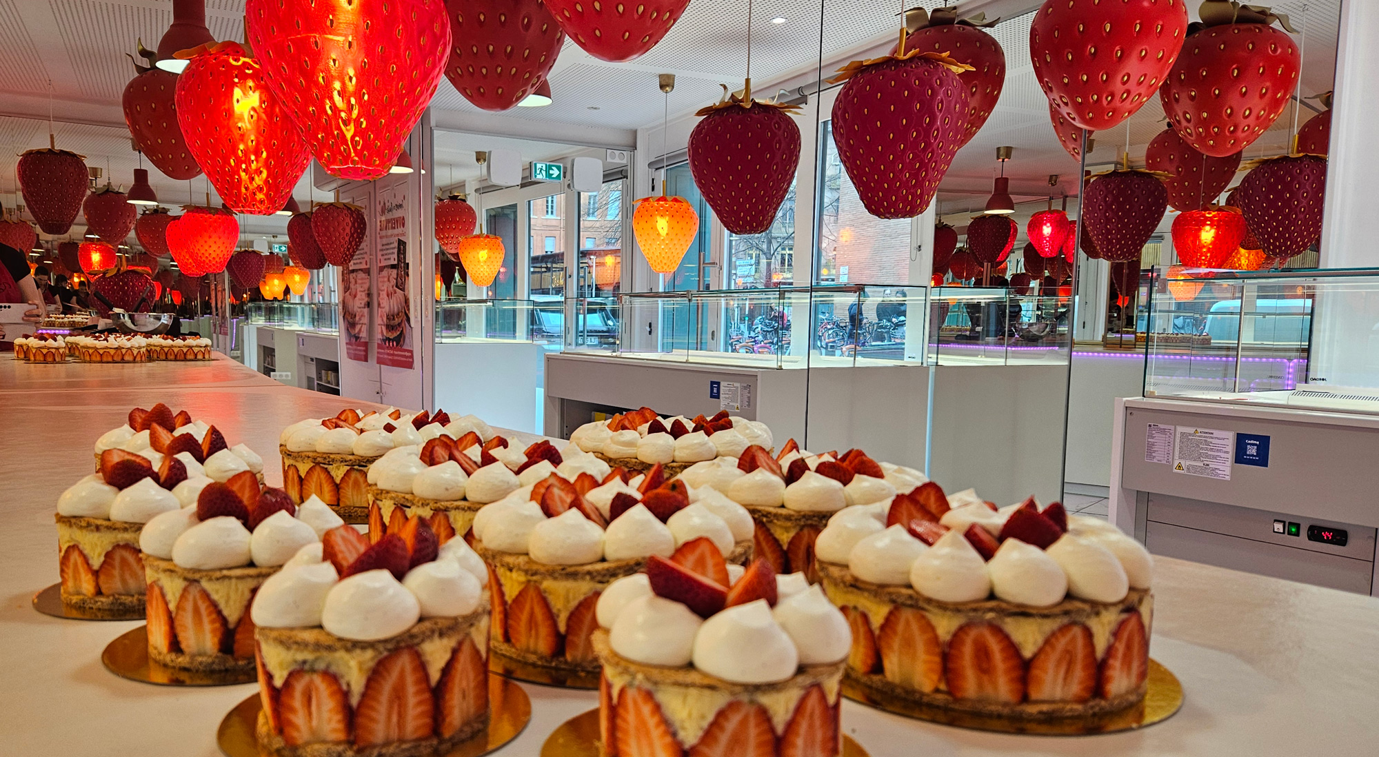 Fraisier Ramene ta fraise